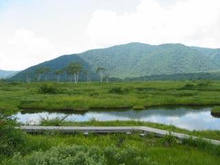 2012.7.29尾瀬 017.jpg